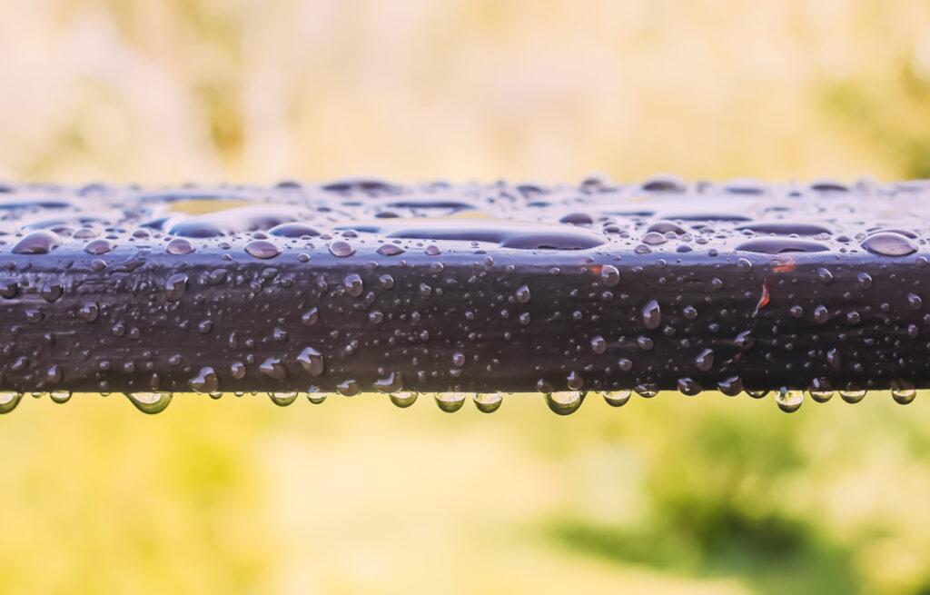 wet wooden railing of terrace architecture detail 2025 02 10 09 51 07 utc